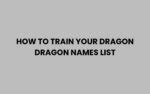 The Definitive Guide To How To Train Your Dragon Names From Norse Lore To Modern Creativity