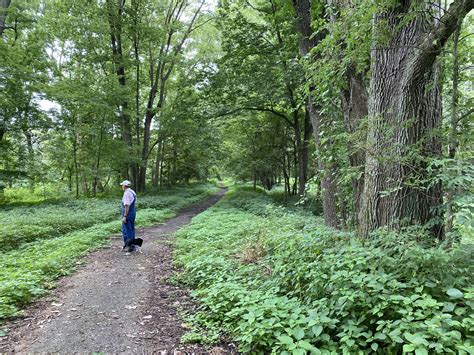 Celebrate National Trails Day with Trails & Greenways – Menard County
