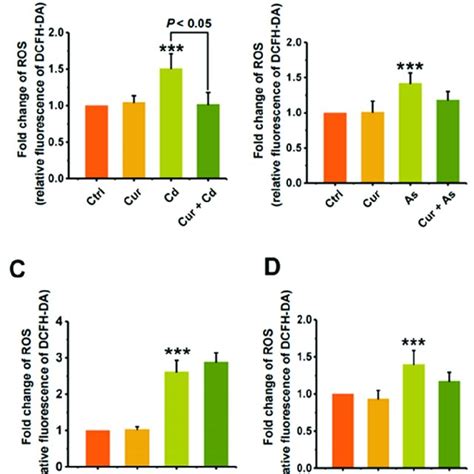 The Protective Effect Of Curcumin On The Oxidative Stress Induced By