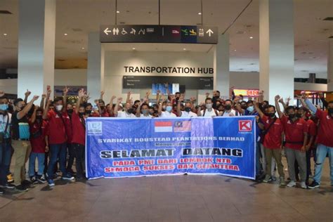 Bplant Welcomes 75 Plantation Workers From Indonesia Boustead Plantations