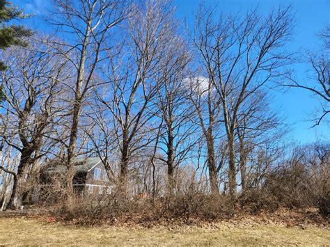 john grossi property services llc home