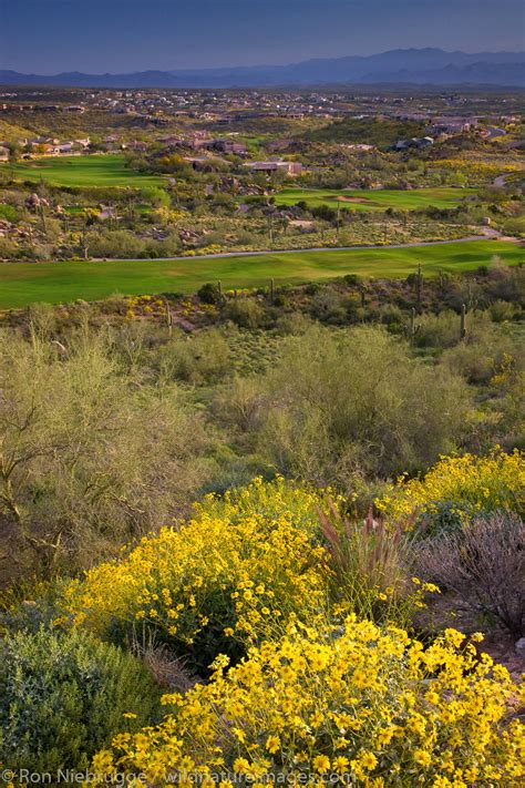 Fountain Hills, Arizona | Photos by Ron Niebrugge