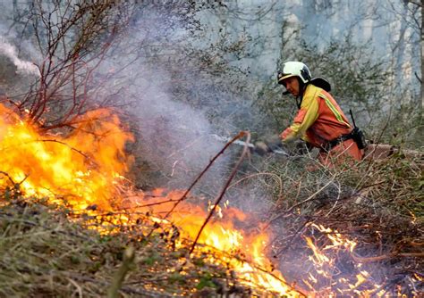 Una Veintena De Incendios Forestales Castiga Asturias El Comercio