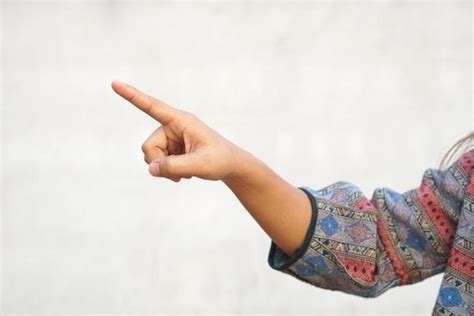 indian pointing stock  images  backgrounds