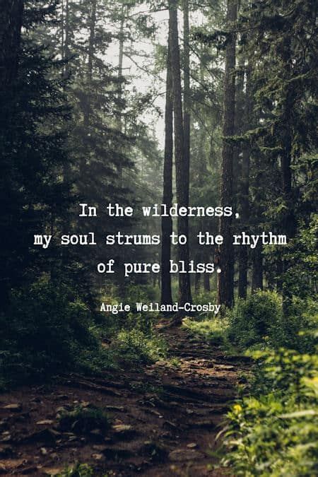 Nature Quotes For The Wandering Soul Momsoulsoothers Mother Nature