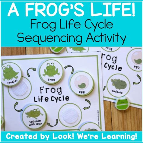 Learn How Frogs Grow With This Fun And Easy Frog Life Cycle Science Sequencing Activity For