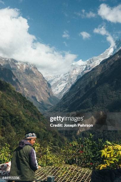 narchyang stock  high res pictures  images getty images