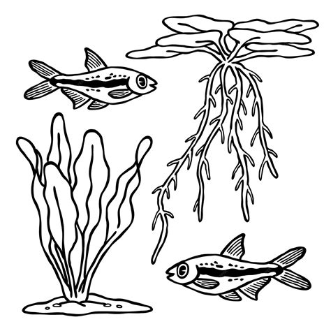 Premium Vector A Set Of Aquatic Ecosystem Illustration With Small