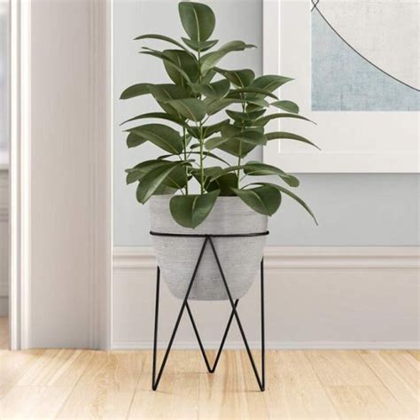 Best Places To Buy Concrete Planter Pots Online • The Garden Glove