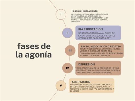 Fases De La Agon A Brenda Molina Udocz