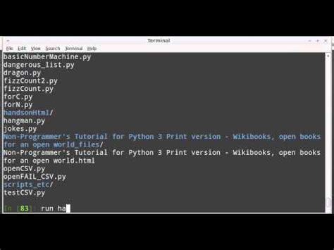 How To Run A Python Script In Ipython Run File Py Youtube