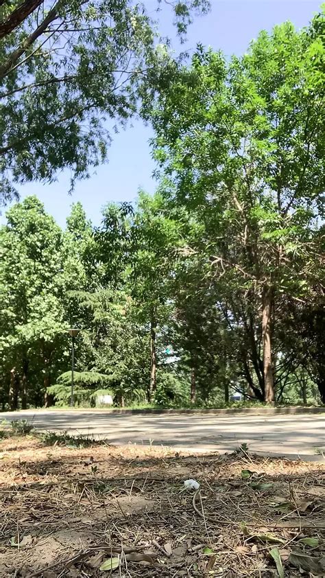 Penis Torture Gay Bondage Bondage Porn Feat Holgerfag XHamster