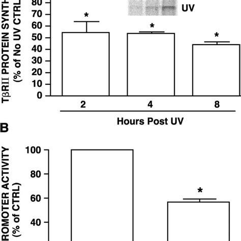 Uv Irradiation Inhibits Tgf ␤ Smad Signaling Pathway In Cultured