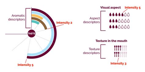 Sensory Profile