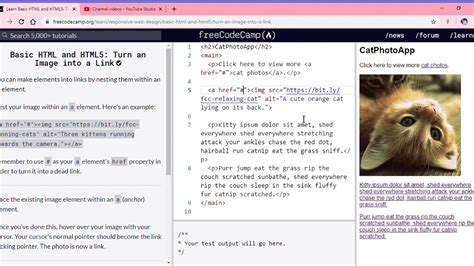 Learn Basic Html And Html Turn An Image Into A Link Freecodecamp Youtube