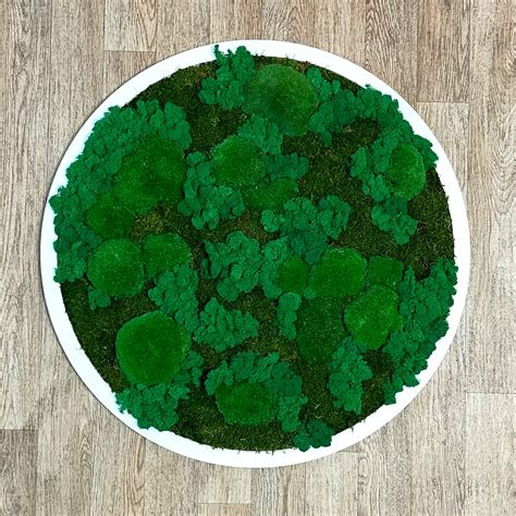 Картины из мха купить в Киеве. Цены на картины из стабилизированного ...