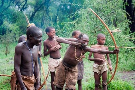 Tour Bushmen Cultural Tour And Wildlife Adventures Visit Tanzania