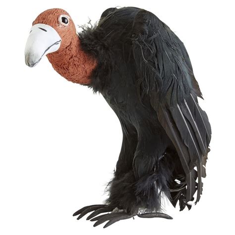 Feather Vulture | Scary halloween decorations, Halloween house ...