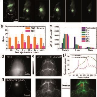 Nir Ii Targeting Imaging Of The U Tumor Model With Ir Bemc P Rgd A