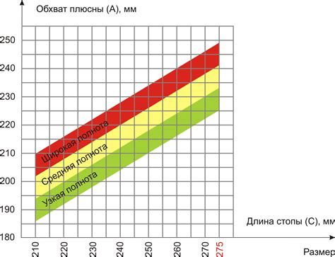 Таблица размеров пальца ноги