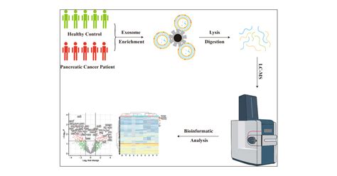 Proteomic Characterization Of Urinary Exosomes With Pancreatic Cancer