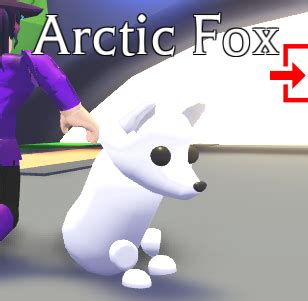 How To Draw A Arctic Fox From Adopt Me This Is Because They Were Only