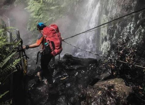 Mulai 10 Februari 2023 Pendakian Gunung Gede Pangrango Kembali Dibuka