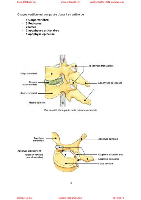 Solution Fractures Du Rachis Thoraco Lombaires Ext La Faculte Net