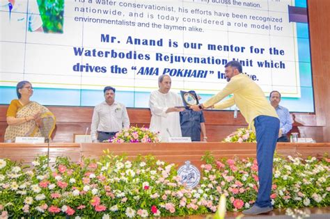 alessandra  palma  linkedin suite  amazed   work