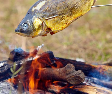 Learn How To Cook Fish Over Campfire Crazy Camping Girl