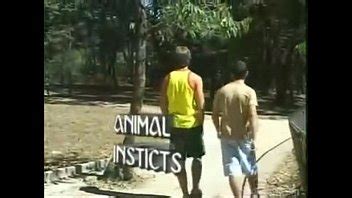 Chupando Y Follando Gay Xvideos