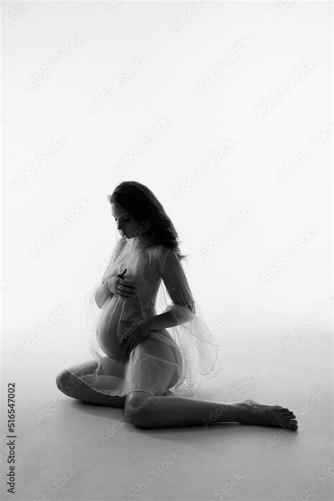 Siluette Of Attractive Pregnant Woman In Transparent Dress With Naked Belly Studio Photoshoot