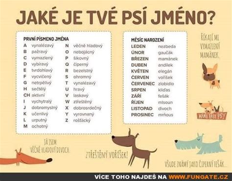 Jaké je tvé psí jméno? | | FunGate.cz | Jokes, Words, Humor