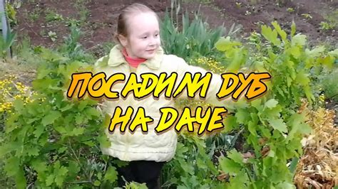 Сажаю дерево.Посадил саженец дуба - YouTube