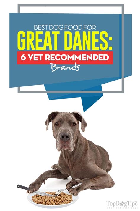 Best Dog Food For Great Danes 6 Vet Recommended Brands