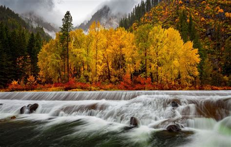 Wallpaper Autumn Forest Clouds Landscape Mountains Nature Fog