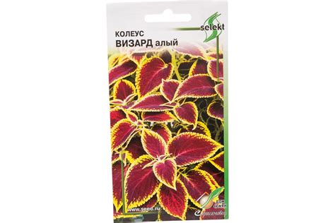 Колеус Дом Семян Визард, алый 46913 - выгодная цена, отзывы ...