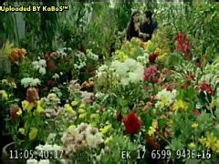 Haifa Wehbe Sex Xxx Mobile Porno Videos Movies IPornTV Net