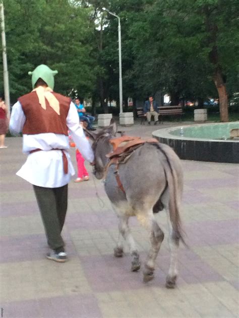 Косплей Шрека | Пикабу