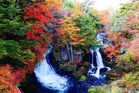 Ganztägige private Nikko Tour ab Tokio mit englischem Fahrer