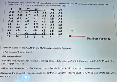 Solved The Totals Of Each Are Shown Neurospora Under The Cross Ab