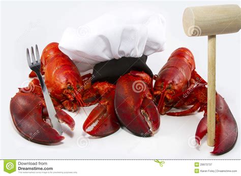 Cooking Lobsters Stock Image Image Of Regional Animal 29973737