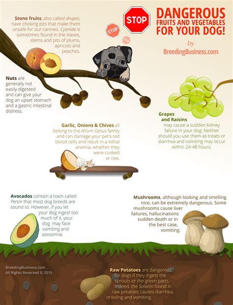 List Of Poisonous Fruits For Dogs Encycloall