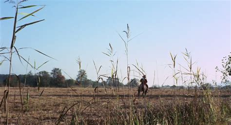 The Sex Adventures Of The Three Musketeers