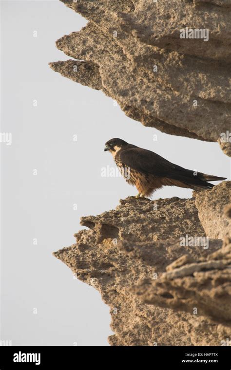 Sardinien V Gel Hi Res Stock Photography And Images Alamy