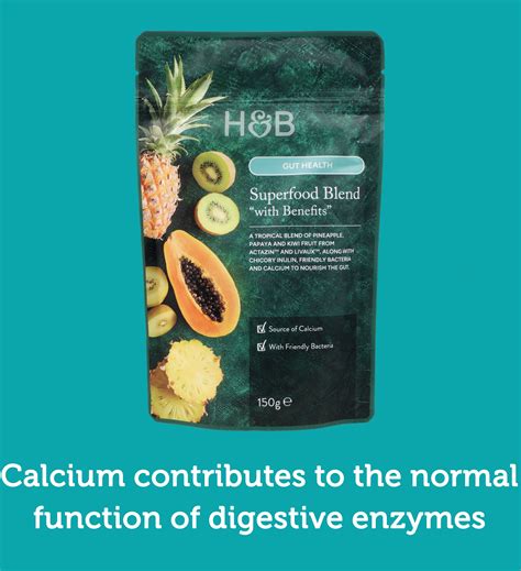 Gut Health Hub | How To Support Your Gut Health | H&B