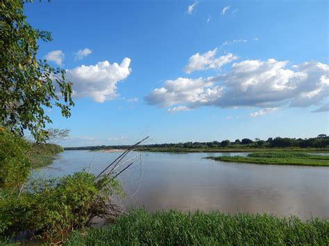 Free Images Landscape Tree Nature Grass Marsh Cloud Meadow