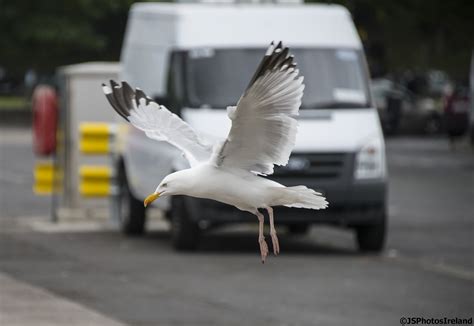 Take Off Take Off J Skelly Flickr