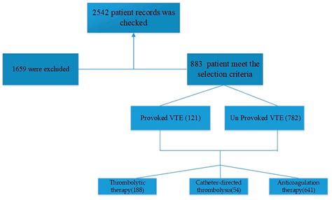 Jpm Free Full Text Exploring The Clinical Efficacy Of Venous