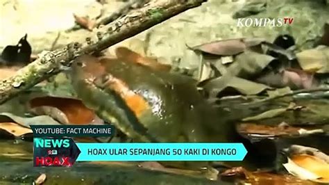 Ular Sepanjang 50 Kaki Di Kongo News Or Hoax Video Dailymotion